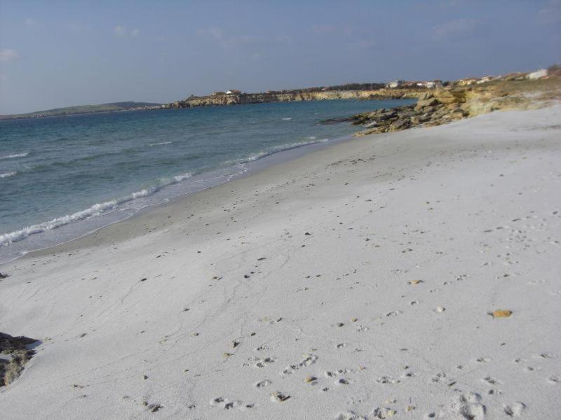 לינה וארוחת בוקר Zeddiani Sardinia Eco Vegan House מראה חיצוני תמונה