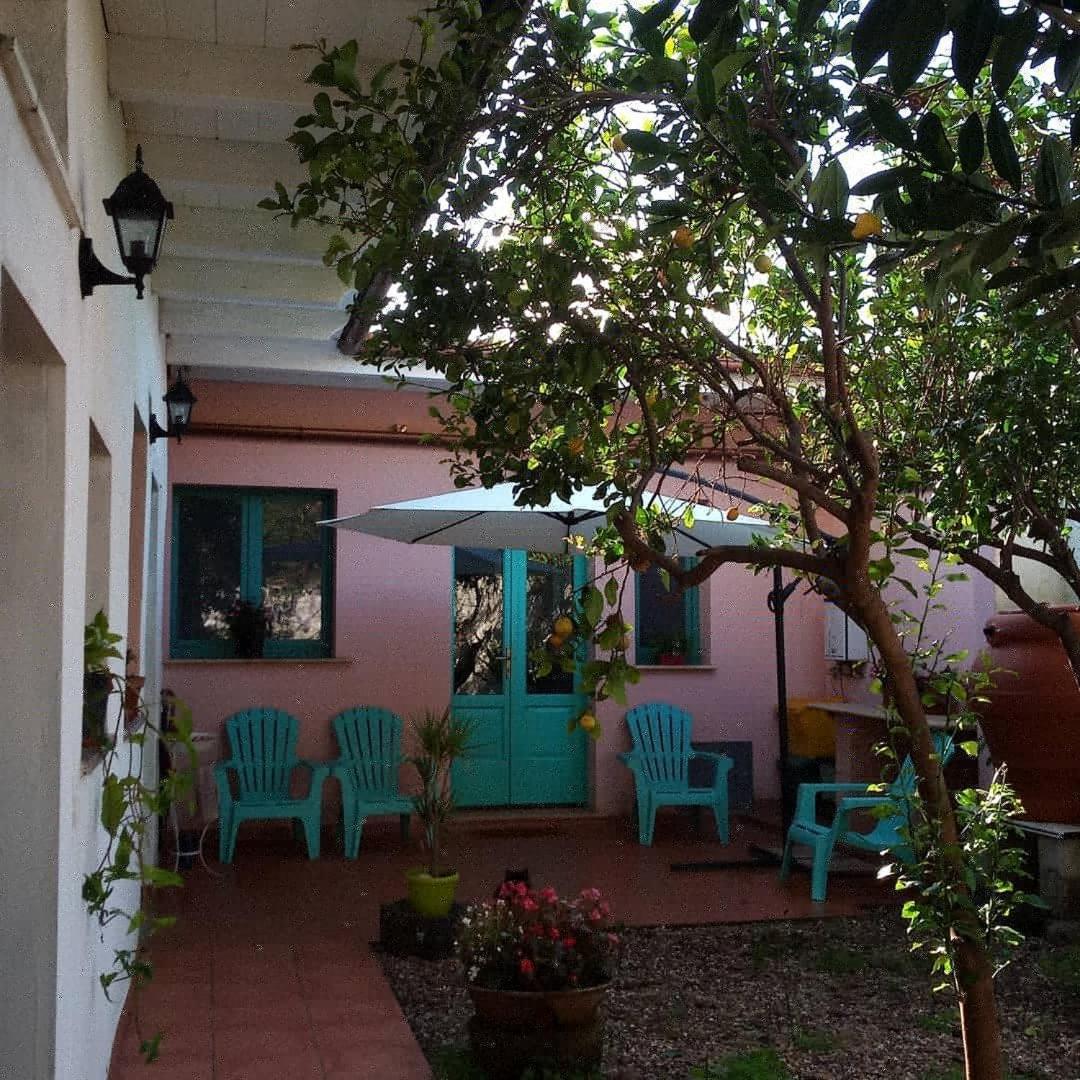 לינה וארוחת בוקר Zeddiani Sardinia Eco Vegan House מראה חיצוני תמונה