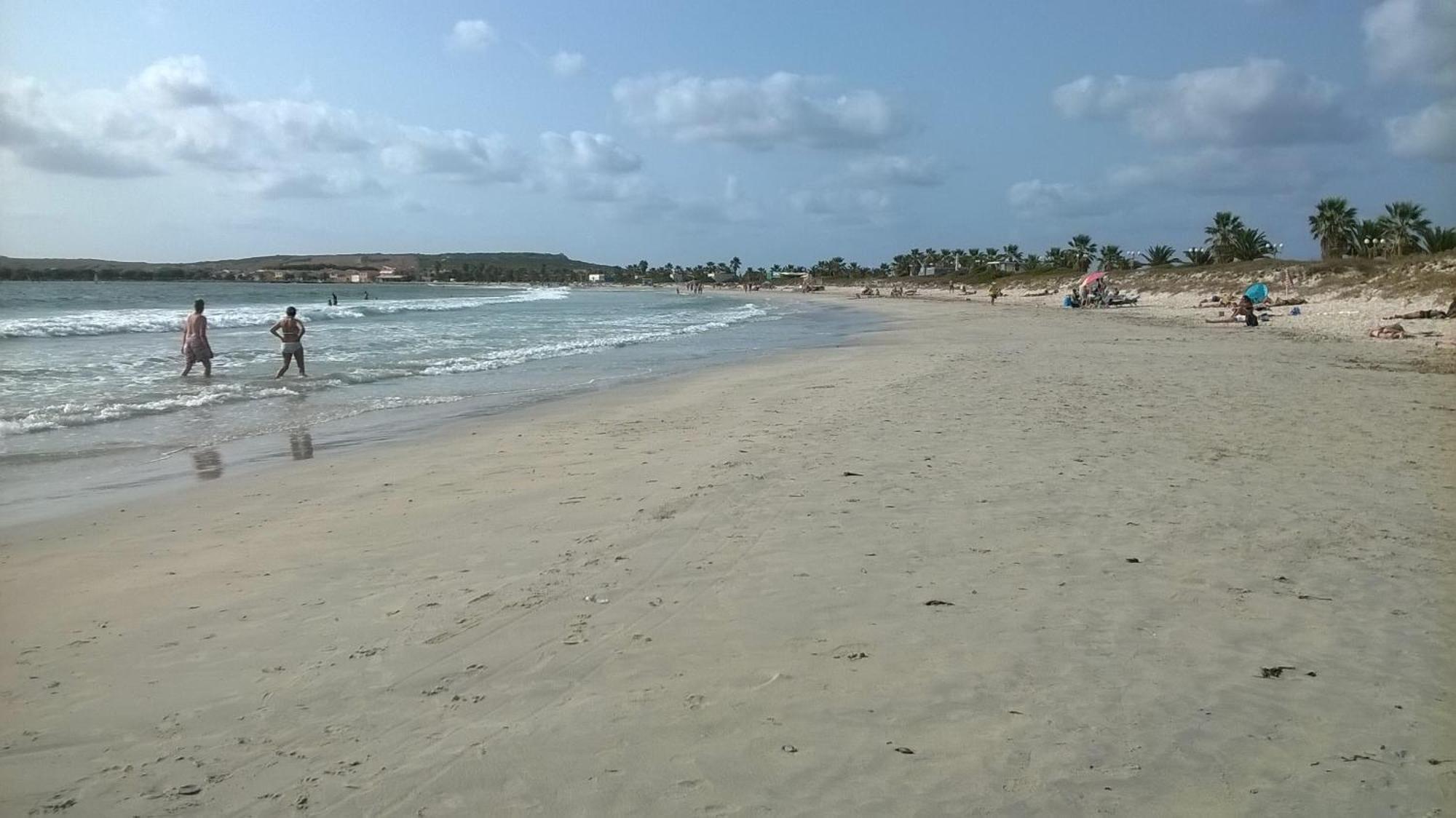 לינה וארוחת בוקר Zeddiani Sardinia Eco Vegan House מראה חיצוני תמונה
