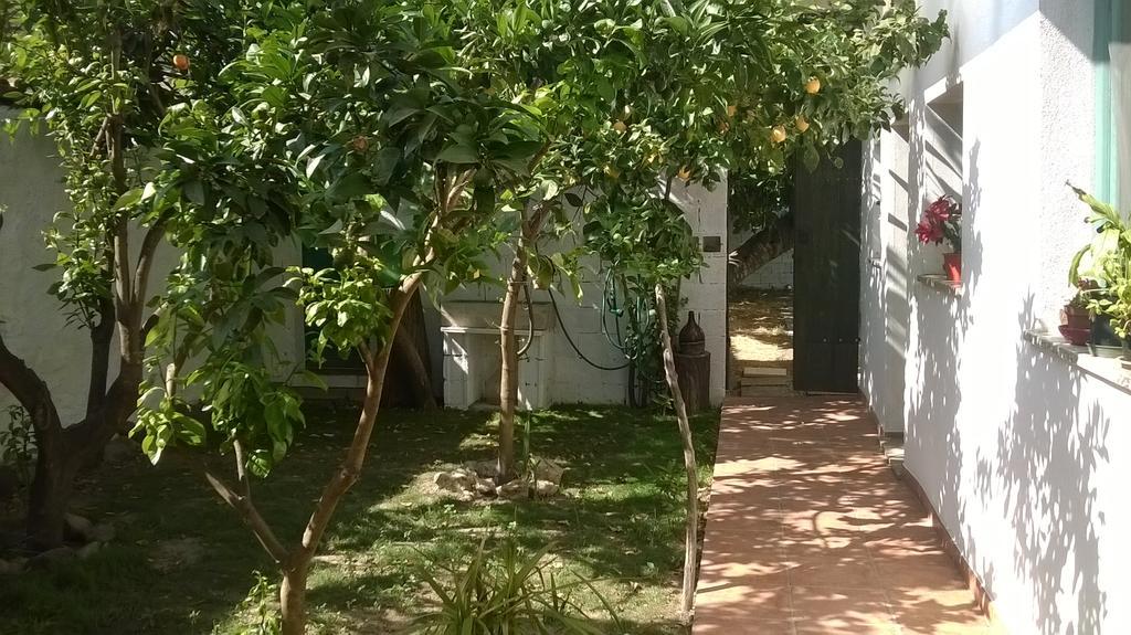 לינה וארוחת בוקר Zeddiani Sardinia Eco Vegan House מראה חיצוני תמונה