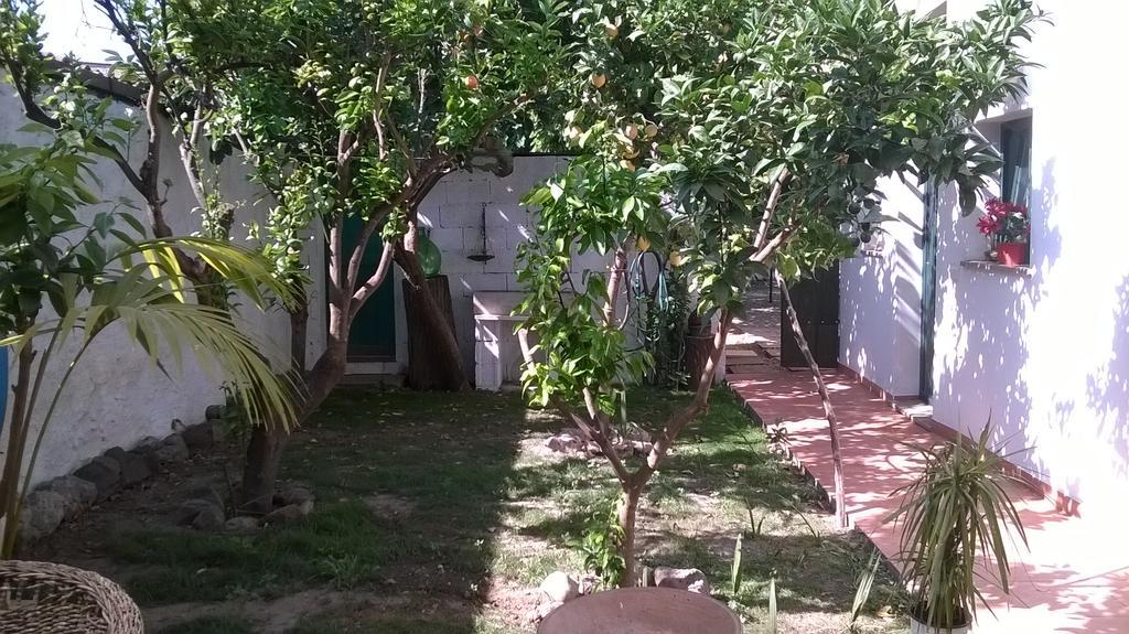 לינה וארוחת בוקר Zeddiani Sardinia Eco Vegan House מראה חיצוני תמונה